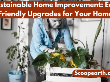 Sustainable Home Improvement: Eco-Friendly Upgrades for Your Home