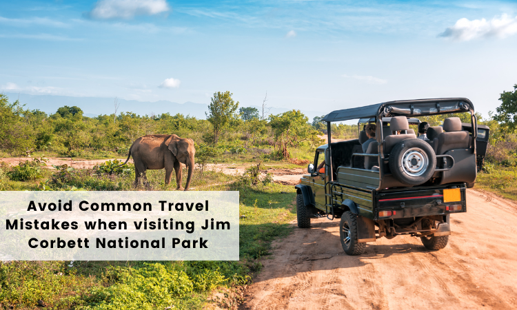 Avoid Travel Mistakes when visiting Jim Corbett National Park