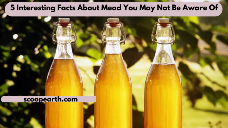 5 Interesting Facts About Mead You May Not Be Aware Of