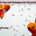 Breeding Fish: Tips and Techniques for Successful Spawning