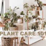 Greenify Your Space with Our Top-Quality Artificial Plant Supplier