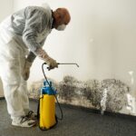 The Benefits Of Hiring A Professional Mold Remediation Company