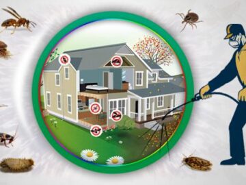 Select the Most Cost-Effective and Excellent Pest Control Services.