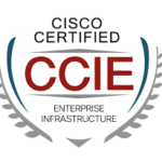 What Capabilities does the New CCIE EI Need to improve?