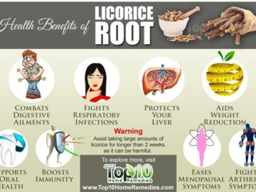 The Benefits of Adaptogenic Licorice Root for Chronic Stress Relief