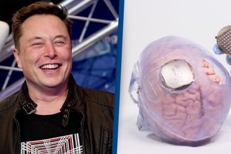 FDA Rejects Musk's Bid to Test Brain Chips in Humans image