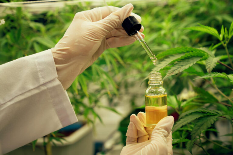 gratifying-cannabis-plant-inside-indoor-farm-scientist-inspecting-cbd-oil