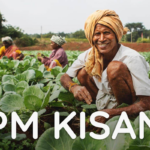 PM Kisan Yojana: Impact and Challenges in Implementing the Farmer Income Support Scheme