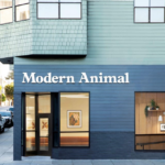 Modern vet clinics