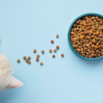 Palatability Enhancers in Pet Food: Ingredients and Benefits