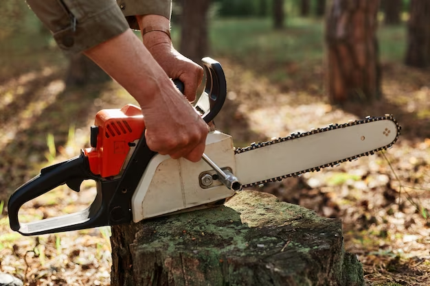 Why is trimming shrubs with a cordless chainsaw the best choice?