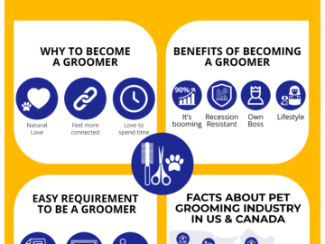 Why Becoming a Pet Groomer Is a Great Career Choice?