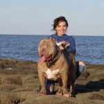 6 Amazing Facts About the XL American Bully Dog