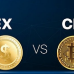 The difference between forex and cryptocurrency trading