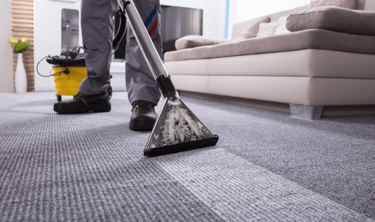 Elevate Your Home with Professional Carpet Cleaning