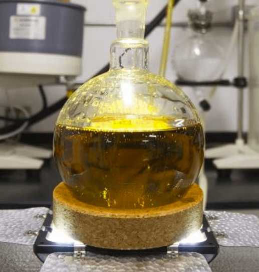 Exploring Cannabis Extraction Methods: CO2, Ethanol, Solventless, and Beyond
