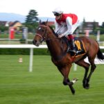 From Track to Tech: the story of how startups have revolutionized professional horse racing