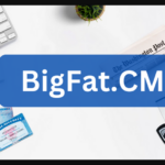 Bigfat - Most Effective Website For Buying CVV Dump