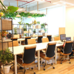 Work Spaces Influence Creativity and Productivity