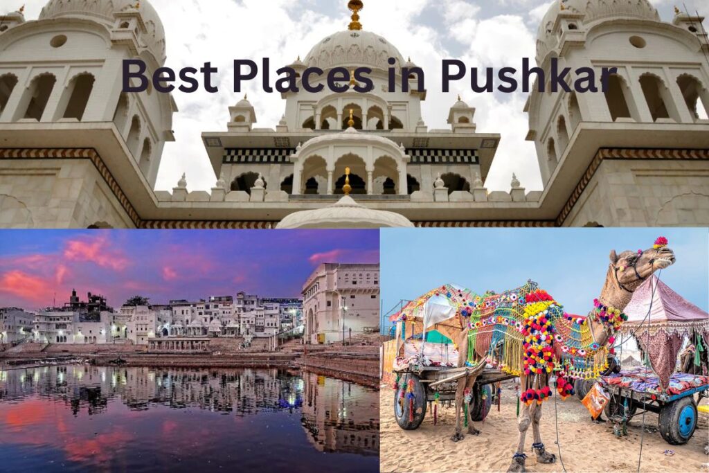 Best Places in Pushkar 1