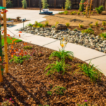 Xeriscaping: Creating Sustainable and Drought-Proof Landscapes
