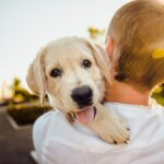 Pet Portraits: The Best Gift for Your Pet Dog