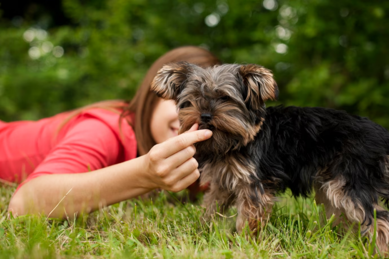 Understanding Puppy Biting: Tips for Managing It and Choosing the Right Puppy Store