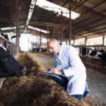 Discover The Power Of NTEP Animal Scales For Optimal Livestock Management