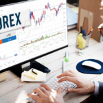 Key Features of Successful Forex Traders
