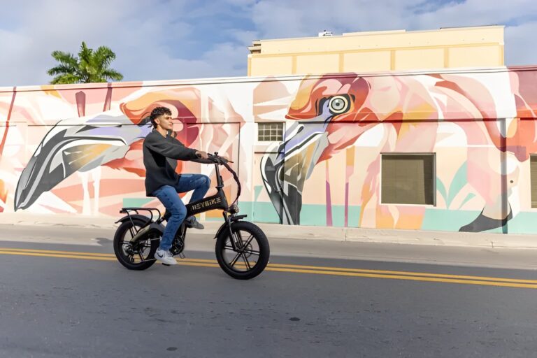 Reviewing the Latest Heybike Tyson Electric Bike