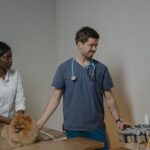How Often Should I Take My Dog To The Vet?