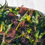 Top 5 Kinds of Edible Seaweeds and a Complete Guide to Foraging and Eating Them