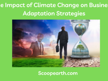 Impact of Climate Change on Business