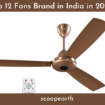 Fans Brand in India in 2023