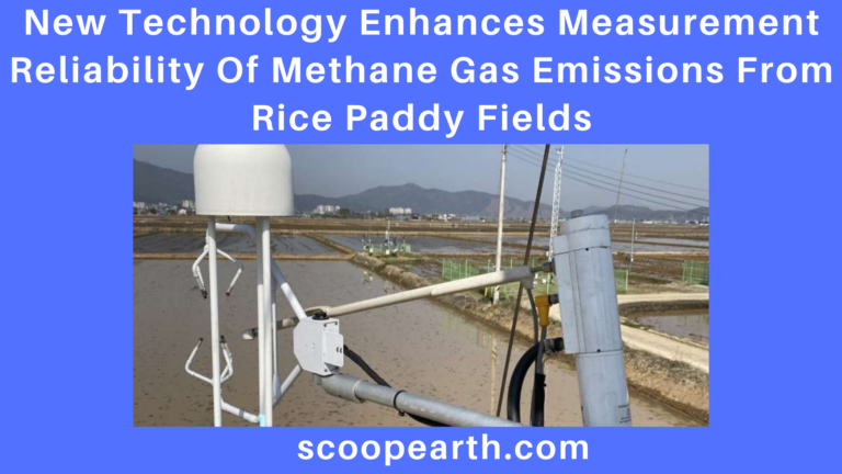 New Technology Enhances Measurement Reliability Of Methane Gas Emissions From Rice Paddy Fields