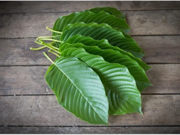 Can You Use Kratom for Depression? What All You Need to Know