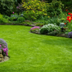 Expert Landscaping and Lawn Fertilization Service in Augusta