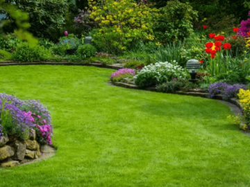Expert Landscaping and Lawn Fertilization Service in Augusta