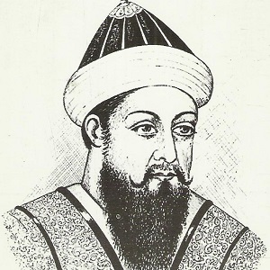 Ibrahim Lodi image