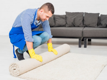 Carpet Cleaning Tauranga: Revitalize Your Home's Beauty with Professional Services