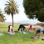 200 hour yoga teacher training in Rishikesh