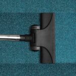 Carpet Cleaning for Pet Owners: Tackling Odors and Stains with Pet-Friendly Solutions