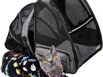 Popular Pet Accommodations The Tiny Tent and Cat Bag for Your Outdoor Adventures