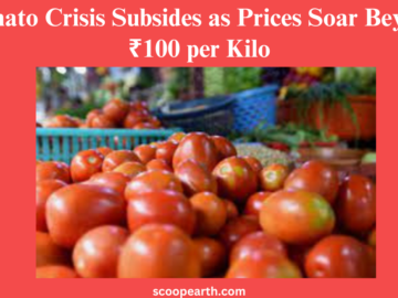 Tomato Crisis Subsides as Prices Soar Beyond ₹100 per Kilo