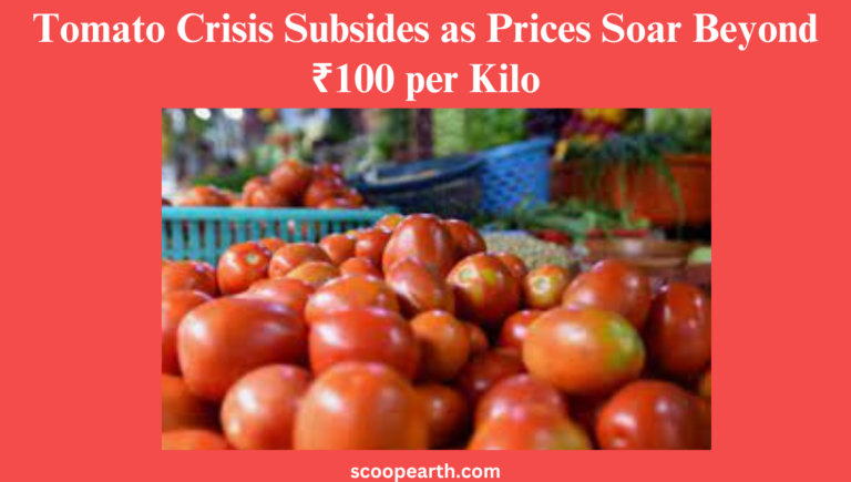 Tomato Crisis Subsides as Prices Soar Beyond ₹100 per Kilo