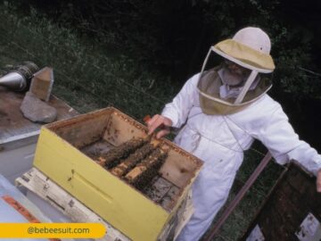 The Ultimate Guide to Beekeeper Suits: Everything You Need to Know Before Buying in the USA