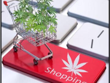Paradigm Shift: The Rise of Convenience and Affordability of Cannabis Business Landscape in Canada