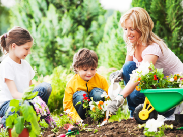 Fun Gardening Projects from Vikki Nicolai La Crosse, WI to Get Kids Excited About Growing Plants