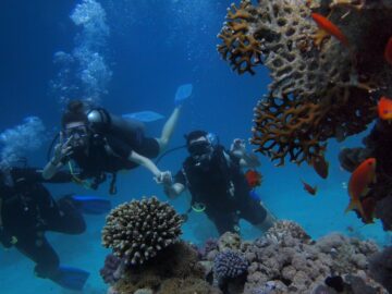 Top Tips & Reasons To Go Scuba Diving