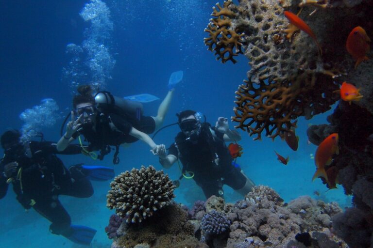 Top Tips & Reasons To Go Scuba Diving
